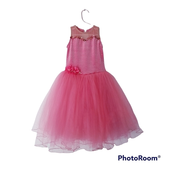 A WISH COME TRUE Gala Pink Ballet Leotard Tutu Dress Dance - Picture 2 of 15